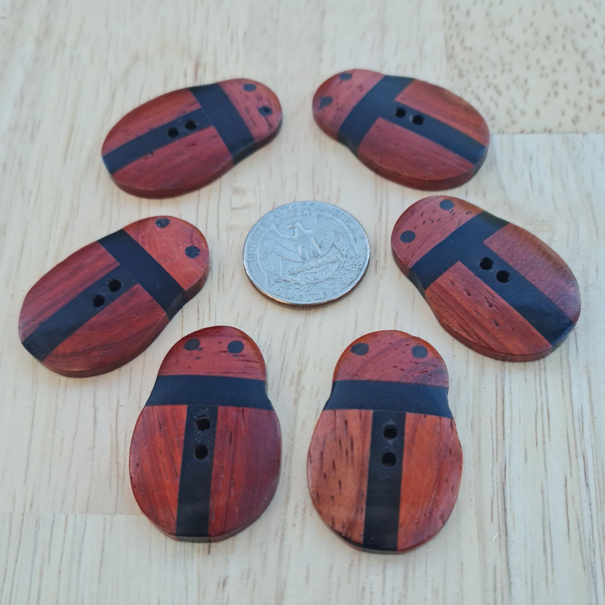 Padauk and Ebony Wood Bug Design Button, XL size 1.5 inch,  Set of 6