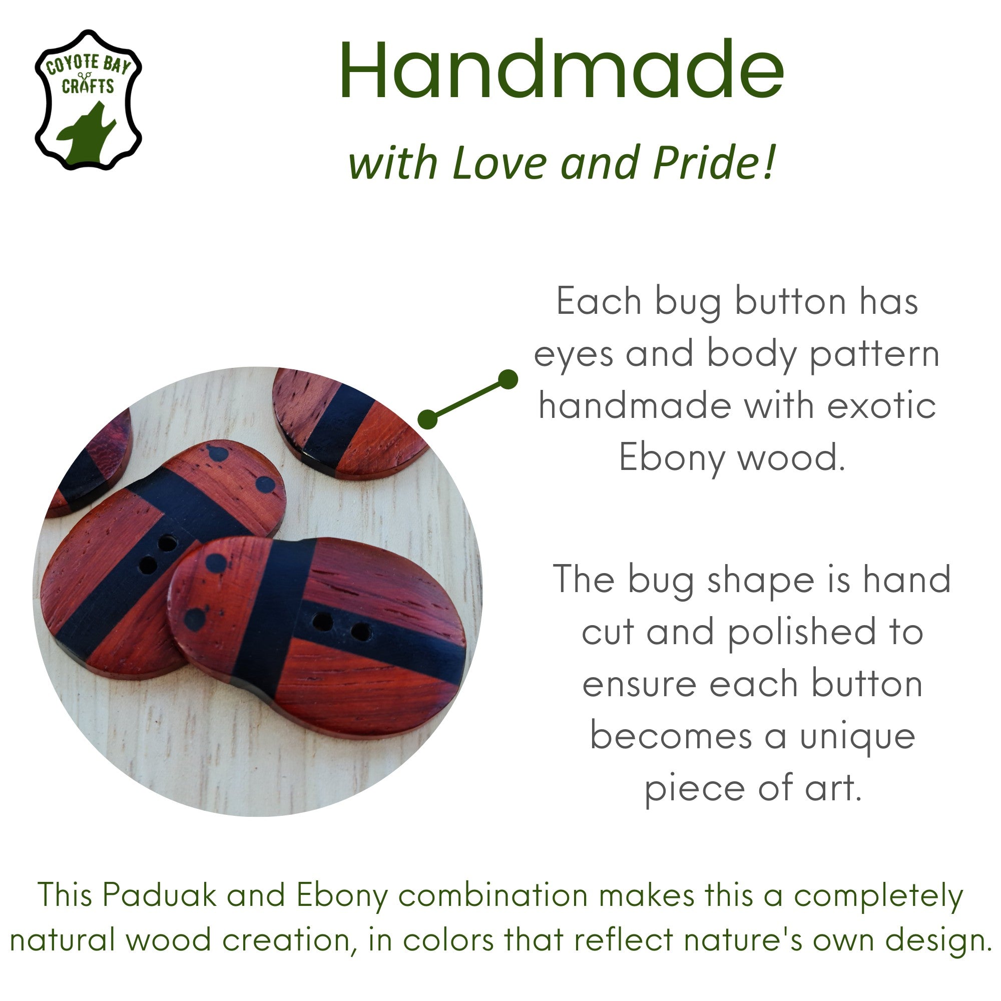 Padauk and Ebony Wood Bug Design Button, XL size 1.5 inch,  Set of 6